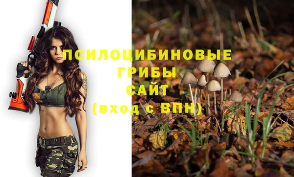 PSILOCYBIN Абинск