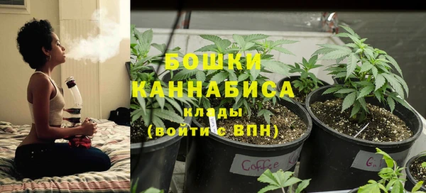 PSILOCYBIN Абинск