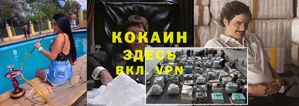 индика Алзамай